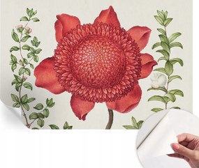 Öntapadós Mosható Fali Fotótapéta Virágos elegancia 104x70 cm