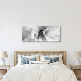 Kép - Virág, fekete-fehér (120x50 cm)
