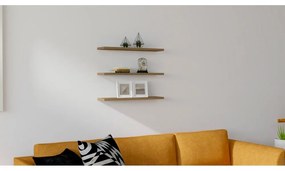 Polc készlet diófa dekorral 3 db-os Boss - Kalune Design