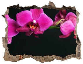 3d-s lyukat fali matrica Orchidea nd-k-64284743