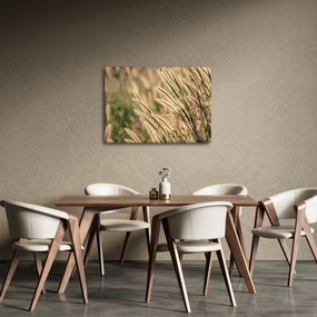 Kép - Gabona (70x50 cm)