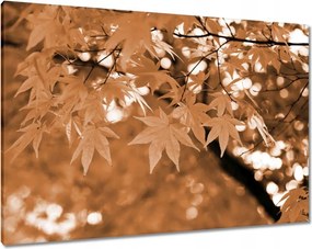 Vászonkép 100x70 Szépia Őszi levelek