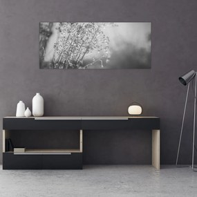 Kép - Mező az eső után (120x50 cm)