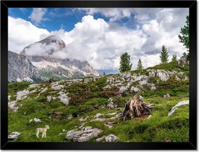 Poszterek keretben 40x30 Bárány a hegyekben Kilátás