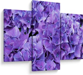 Lila virágok képe (90x60 cm)
