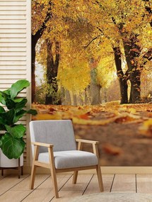 Gario Fotótapéta Arany lakk osz Anyag: Vlies, Méret: 150 x 210 cm