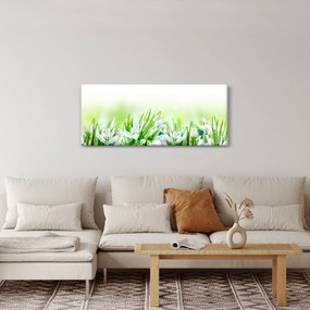 Kép - Hóvirág (120x50 cm)