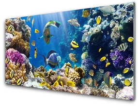 Akril üveg kép Barrier Reef Nature 100x50 cm 2 fogas