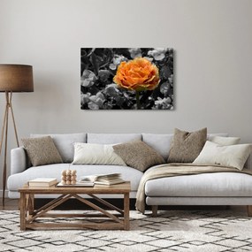 Virág képe (90x60 cm)