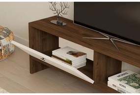 TV szekrény Gaye - Walnut, White