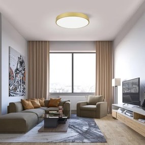 Immax NEO 07293L - LED+CCT dimmelhető mennyezeti lámpa SEMPLICI 60W/230V Ø 60 cm + távirányítóval