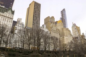 Poszter 30x20cm Központi park Manhattan panorámával 3, Assaf Frank