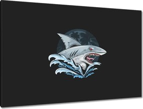 Képek 120x80 Cápa Ragadozó