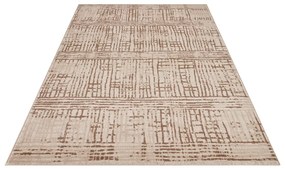 Barna-bézs szőnyeg 80x120 cm Terrain – Hanse Home