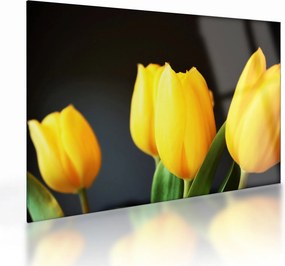 Tulipán képe (üvegen) (70x50 cm)
