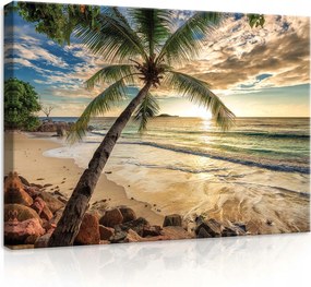 Vászonkép 70x50 Trópusi tengerpart naplemente pálmafa tenger nyugalom nyaralás