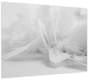 Üveg kép - Tollak (70x50 cm)