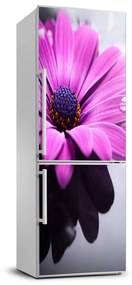 Hűtő matrica Rózsaszín gerbera FridgeStick-70x190-f-104053300