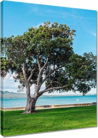 Vászonkép 30x40 Magányos fa