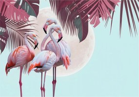 Fali fotótapéta előszoba konyhába Egzotikus madarak 312x219 Ragasztó