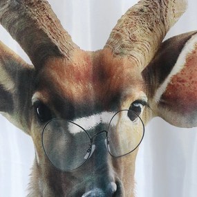 Zuhanyfüggöny 180x200 cm Nyala – MSV