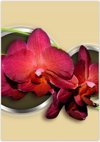 Poszterek 70x100 VirĂĄgok Absztrakt