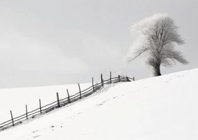 Poszter 29,7x21cm Magány a télben a kerítésnél