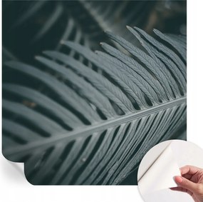 Öntapadós fotótapéta Nappaliba és Hálószobába Zöld levél 250x250