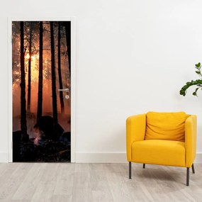 Fotótapéta ajtóra - Sötét erdő (95x205cm)