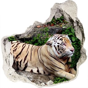 Fali matrica lyuk a falban Tiger a rock nd-p-118161704