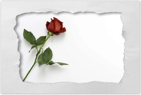 Poszterek 90x60 Nőnap Ajándék Love