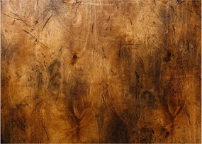 Kép - Fa részlete (70x50 cm)
