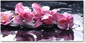 Fotótapéta üvegfalra Rózsaszín orchidea 140x70