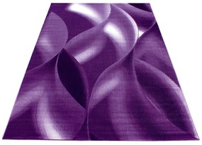 Lila szőnyeg 120x170 cm Plus – Ayyildiz Carpets