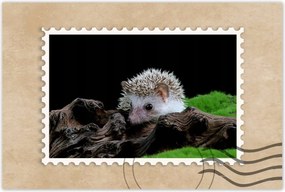 Poszterek 120x80 Sündisznó a zöld mohán