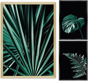 Dekoria Botanica festmény szett