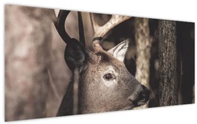 Kép - Szarvas az erdőben (120x50 cm)
