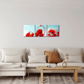 Fényes piros virágokkal rendelkező mező képe (órával) (90x30 cm)