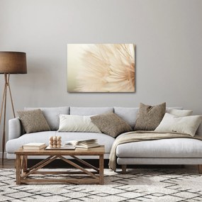 Kép - Virág részletek (70x50 cm)