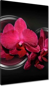 Vászonkép 80x120 Absztrakt orchideával