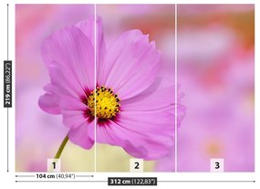 Fotótapéta rózsaszín kozmosz 104x70 cm