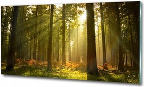 Fotó üvegkép Tengeri csillag a tengerparton 100x70