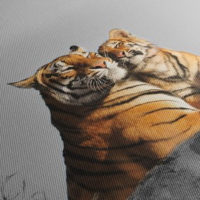 Kép - Tigris és a kölyke, fekete-fehér változat (150x105 cm)