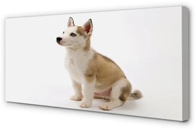 Canvas képek Ülő kis kutya 100x50 cm