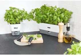 Cole&Mason - Borsdaráló CAPSTAN BEECH bükk 20 cm