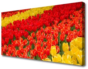 Vászonfotó tulipán virágok 100x50 cm