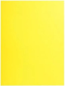 Irattároló mappa, 2 zsebes, A4, 25 db, EXACOMPTA Rock's, 5 különböző szín (EX415000E)