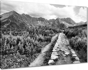 Képek 100x70 Tátra Lengyel hegyek Kilátás