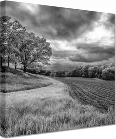 Vászonkép 60x60 Fekete-fehér mező