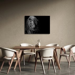 Egy vadtigris képe (70x50 cm)